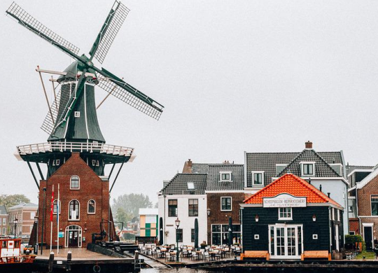 Obtaining permanent residence in the Netherlands: programs for immigration, types of long-term visas