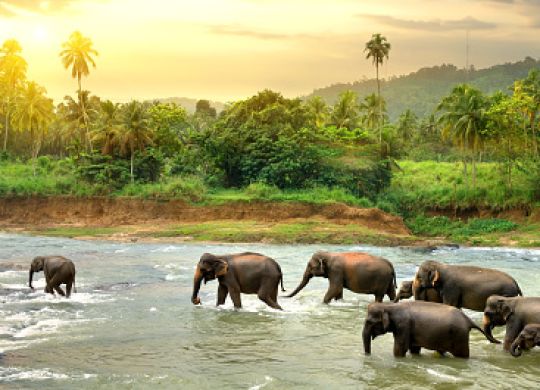 What to choose for accommodation: Sri Lanka or Thailand