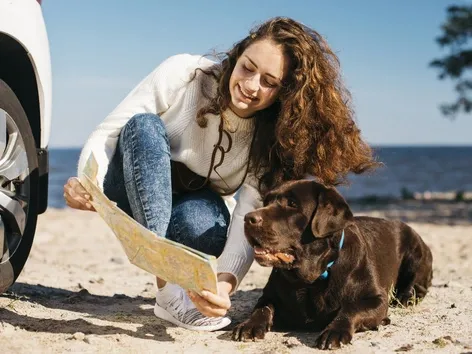 Traveling with Pets in 2026: Rules, Required Documents, and Expert Tips