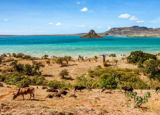 Why it is worth moving to Madagascar for permanent residence and how to get citizenship