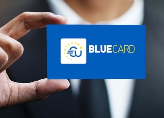 4 countries have simplified the requirements for obtaining an EU Blue Card: important details