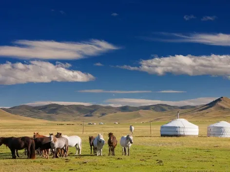 Mongolia extended visa-free regime until 2027: entry rules and what tourists should know