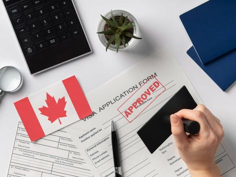 Category codes on the Canadian visa application form: main types and characteristics