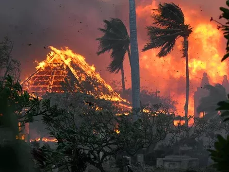 Пожары на Мауи: безопасно ли сейчас путешествовать на Гавайи?