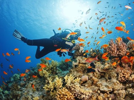 The Best Scuba Diving Destinations in the World