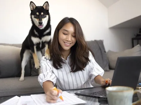 Налоги на собак в Европе: Италия планирует ввести налог для туристов с собаками в 2026 году