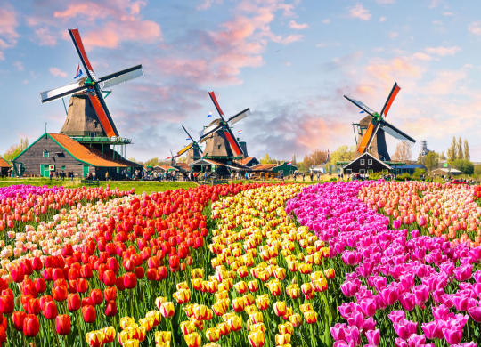 Characteristics of tourism in the Netherlands: everything travellers should know