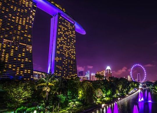 Singapore. We tell you how a business visa works in the country and what are the prospects