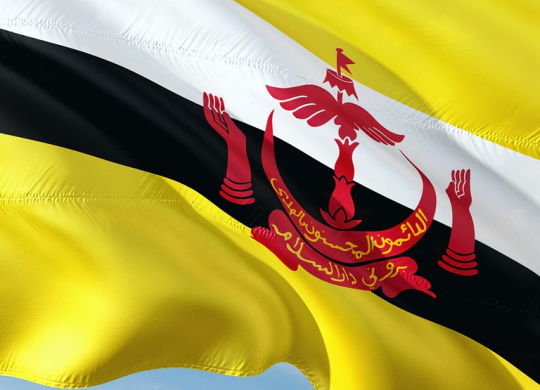 Medicine and healthcare in Brunei: what foreigners need to know about medical services