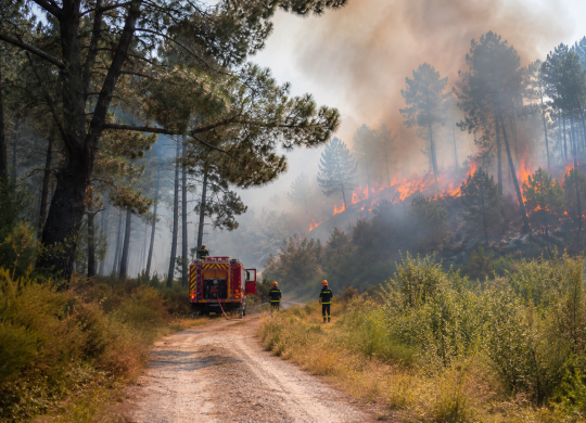 Incendie de forêt près de Paris: plus de 800 hectares détruits, des perturbations dans les transports