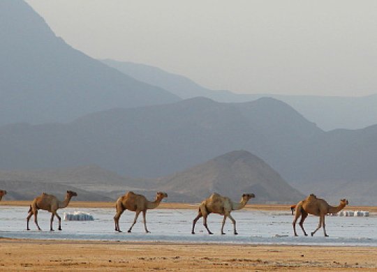 Features of tourism in Djibouti: a guide on the main issues for travellers