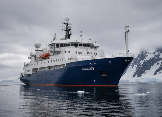 Хантавірус на круїзному лайнері MV Hondius: що відомо про вірус і чи варто хвилюватися
