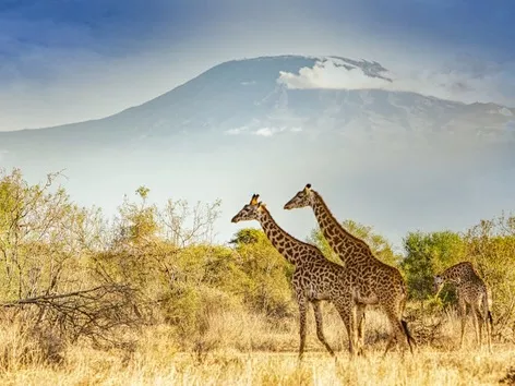 ТОП-15 путешествий, которые следует бронировать за год вперед