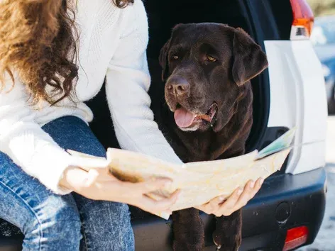 Voyager avec son animal de compagnie en Europe en 2026 : les meilleures villes pour passer des vacances agréables avec son compagnon à quatre pattes