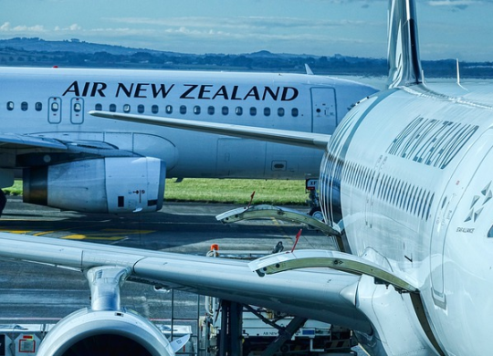 Work and employment in New Zealand: immigration programs and visa processing