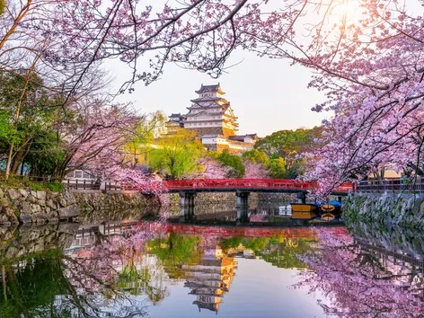 Japan to Raise Departure Tax in 2026: New Fees, JESTA, and What Travelers Need to Know