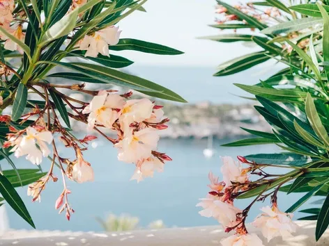 13 Best Places for a Spring Trip in Europe 2026: Where to Go in March, April, and May