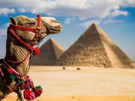 New five-year visa to Egypt: when will it be available, who can apply and price