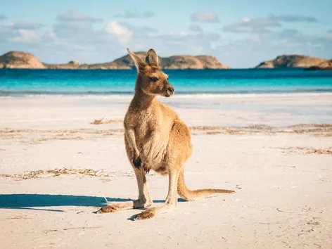 Déménager en Australie : quelles caractéristiques de la culture et de la vie doivent être connues avant de déménager